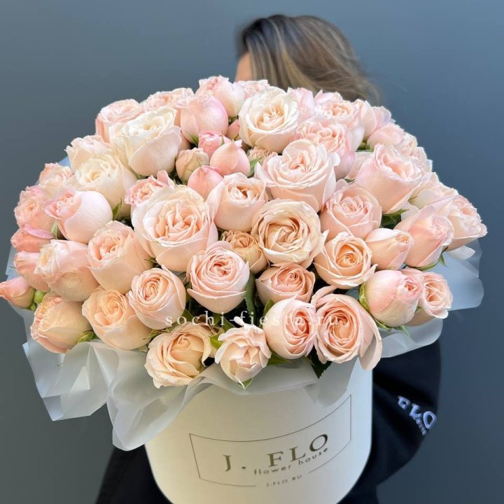 Бомбастик бокс Премьер в Чите