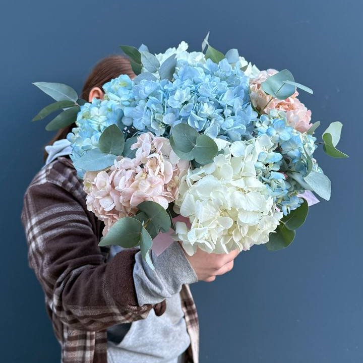 Гортензии в коробочке в Чите