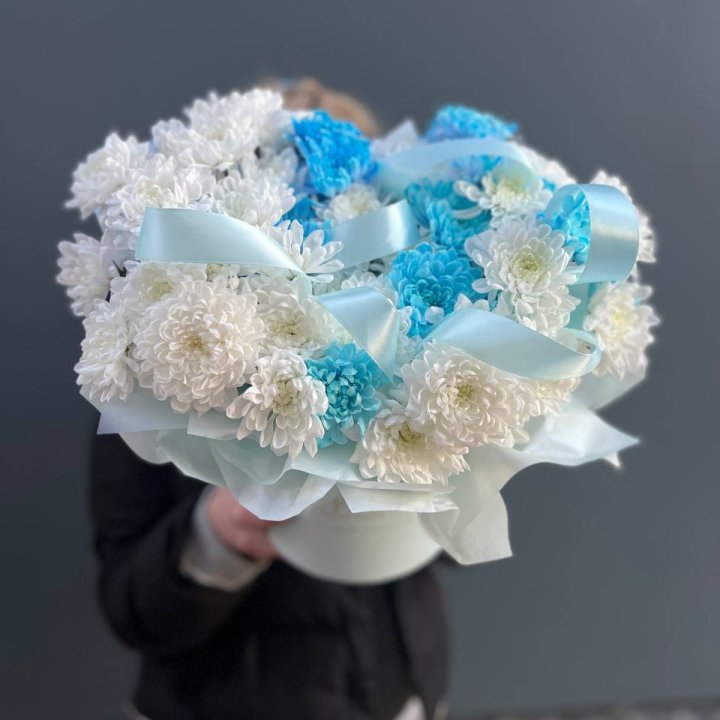 Хризнтемы в боксе в Чите