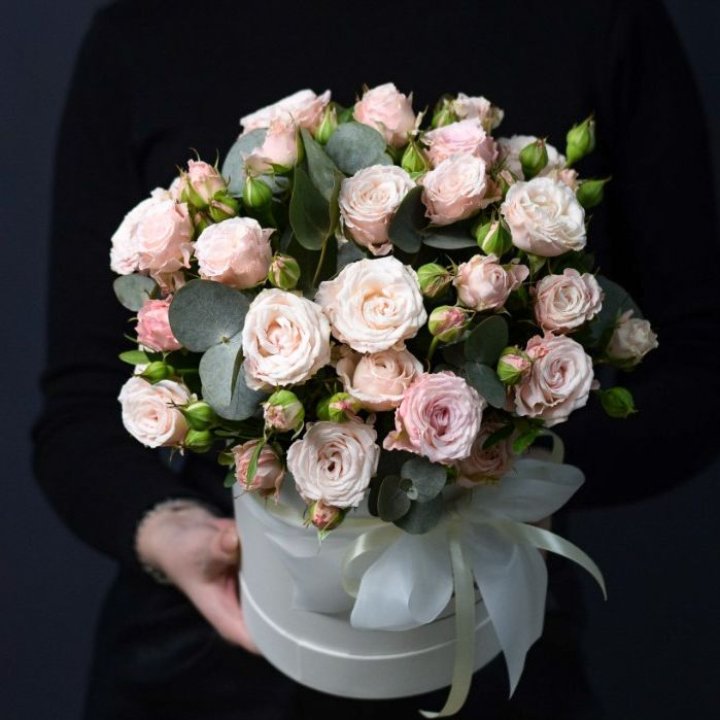 Бомбастик бокс №2 в Чите