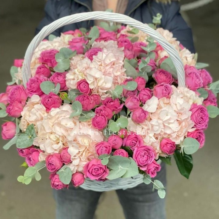 Корзина с гортензией и Мисти Баблс в Чите