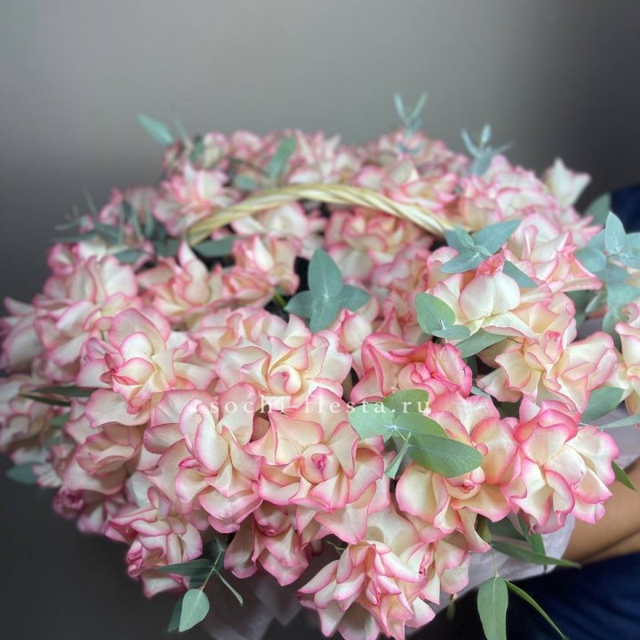 51 джумилия  в корзине   в Чите