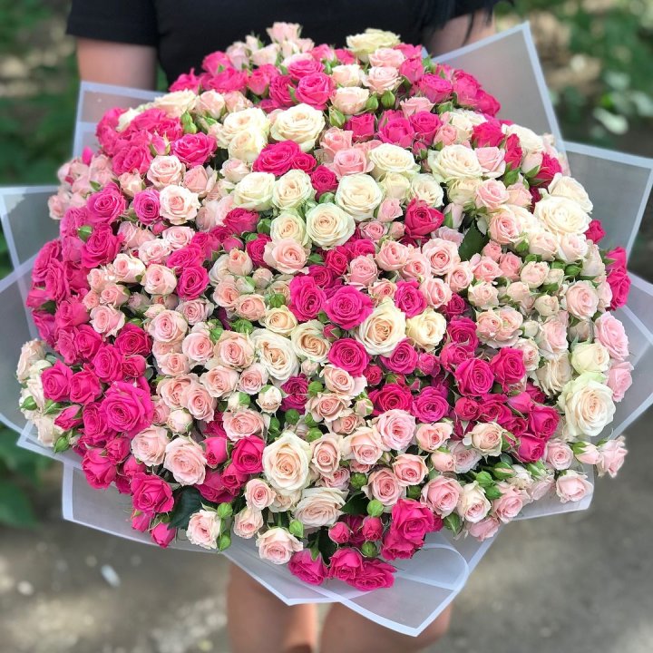 101 кустовая роза в Чите