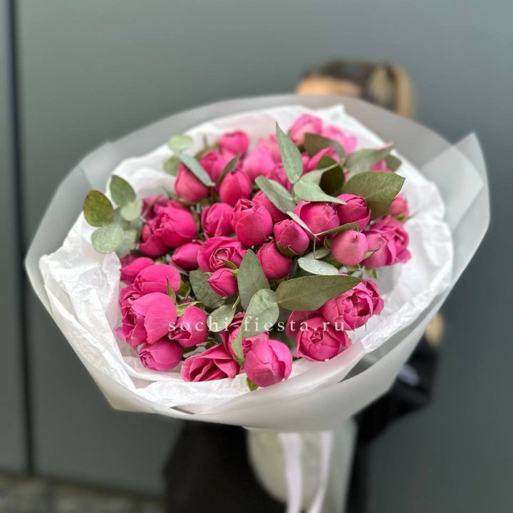 17 Мисти бабблс в Чите