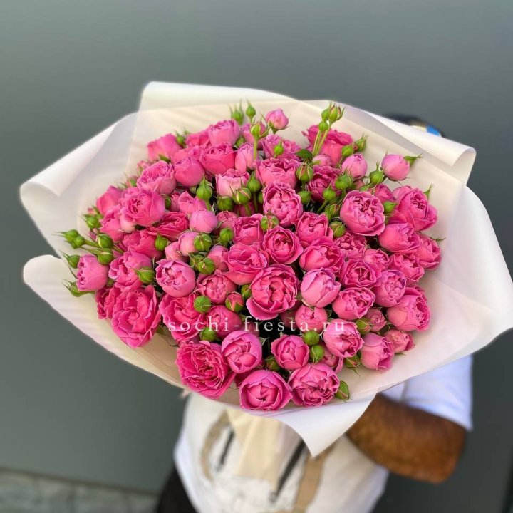 Мисти Баблс 35шт в Чите