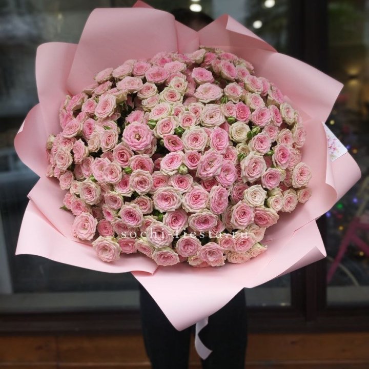 51 кустовая роза Твистер в Чите