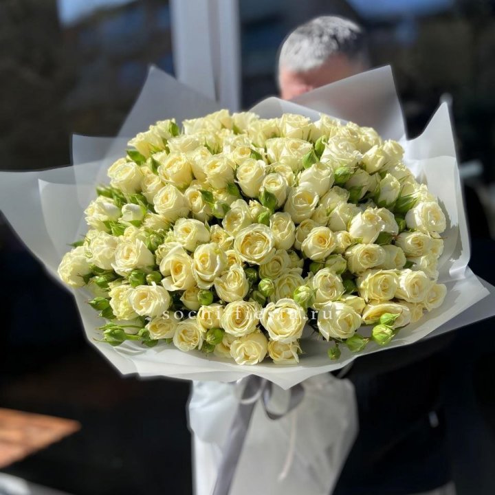 Белые кустовые розы 31 шт в Чите