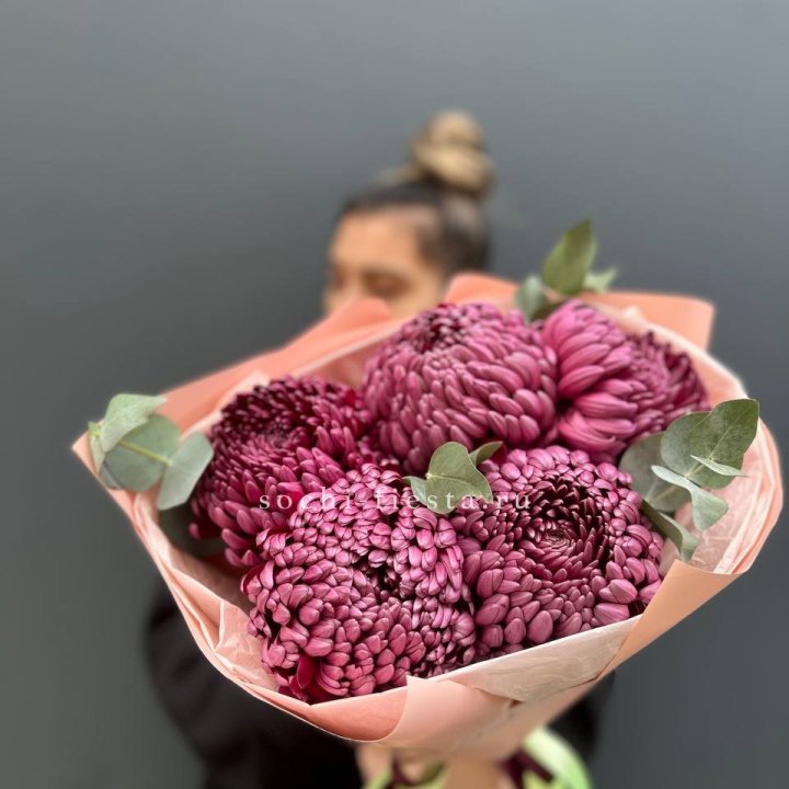 Хризантемы  Бигуди  в Чите