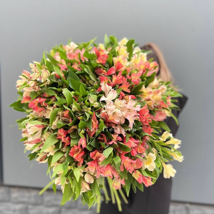 51 альстромерия в Чите