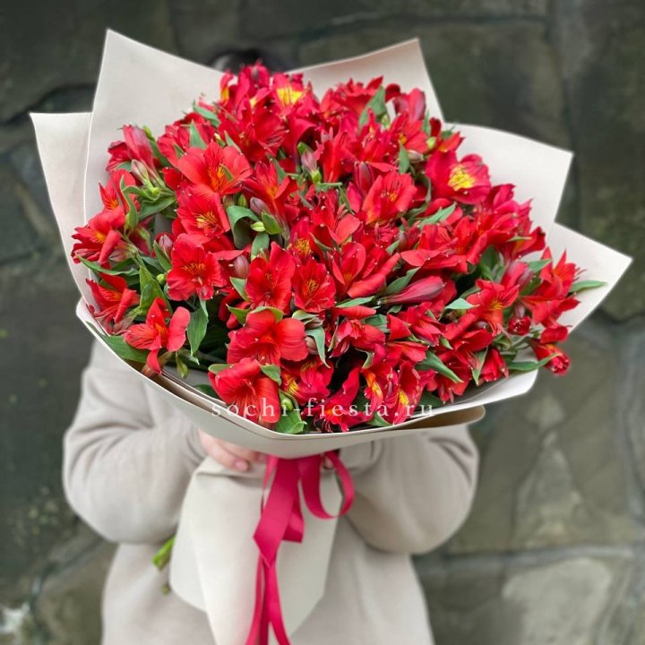 51 альстромерия в Чите