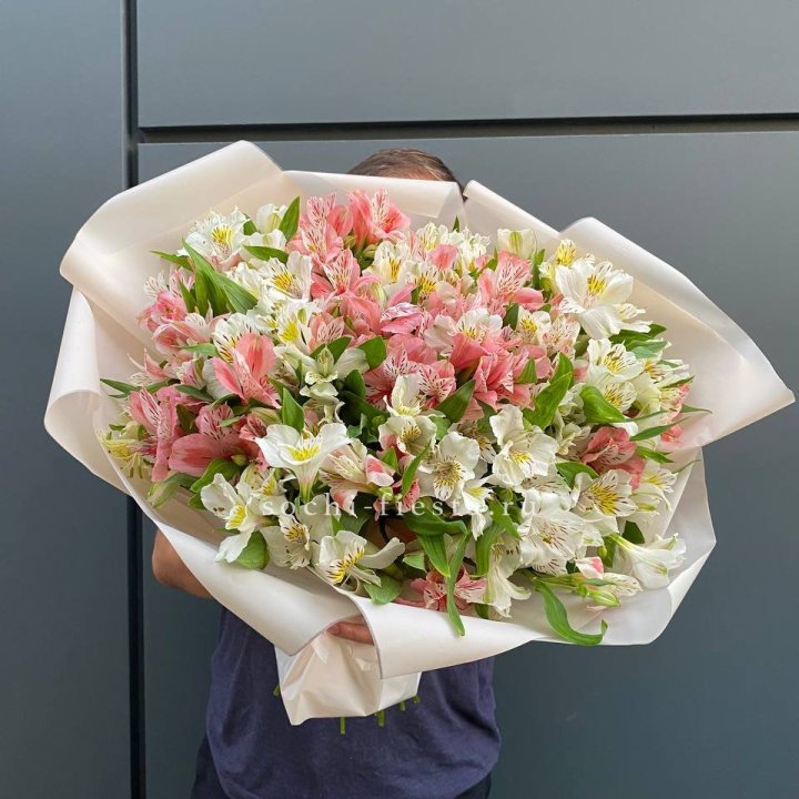 39 альстромерий в Чите