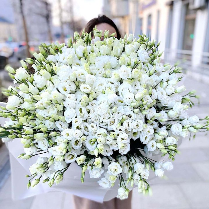 101 белая эустома в Чите