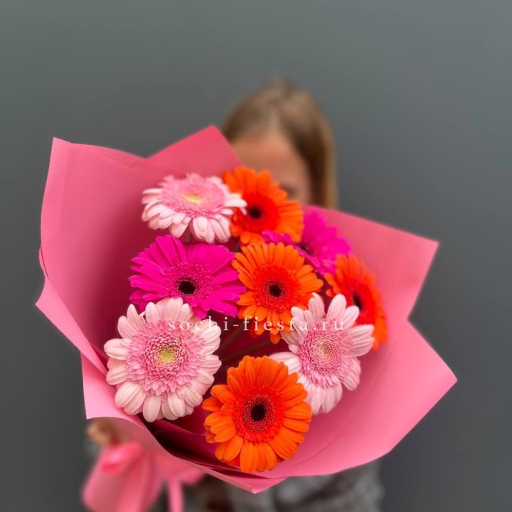 Краски в Чите