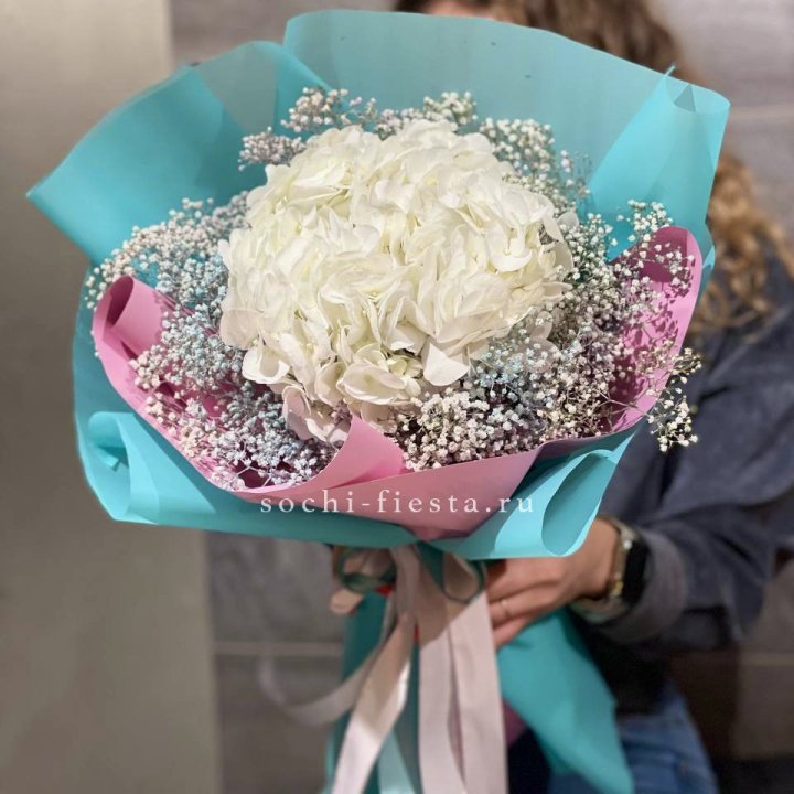 Гортензия "Райдов" в Чите