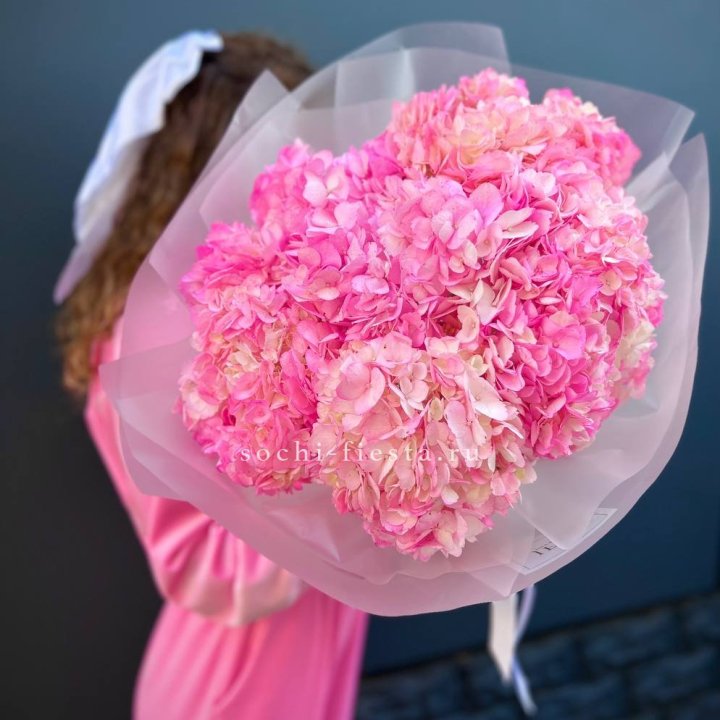 7 ярко розовых гортензий в Чите