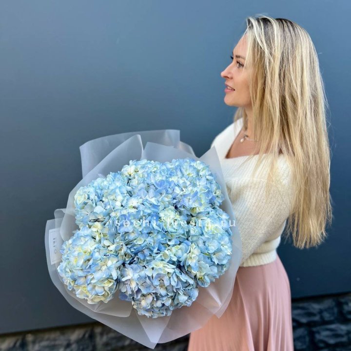 7 голубых гортензий в Чите