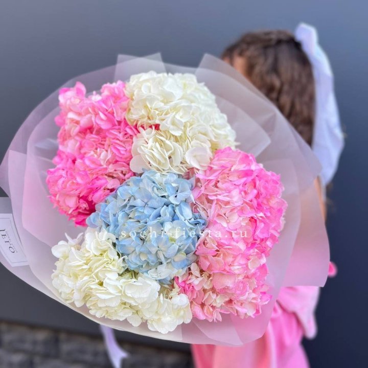 7 гортензий микс в Чите