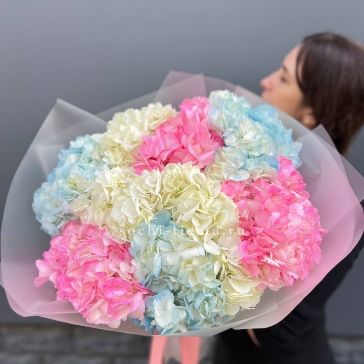 9 гортензий микс в Чите