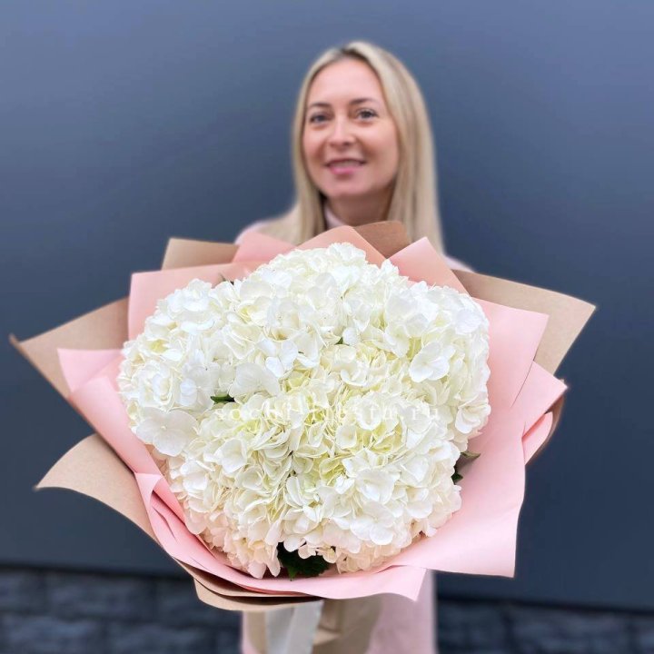 Гортензия белая в Чите