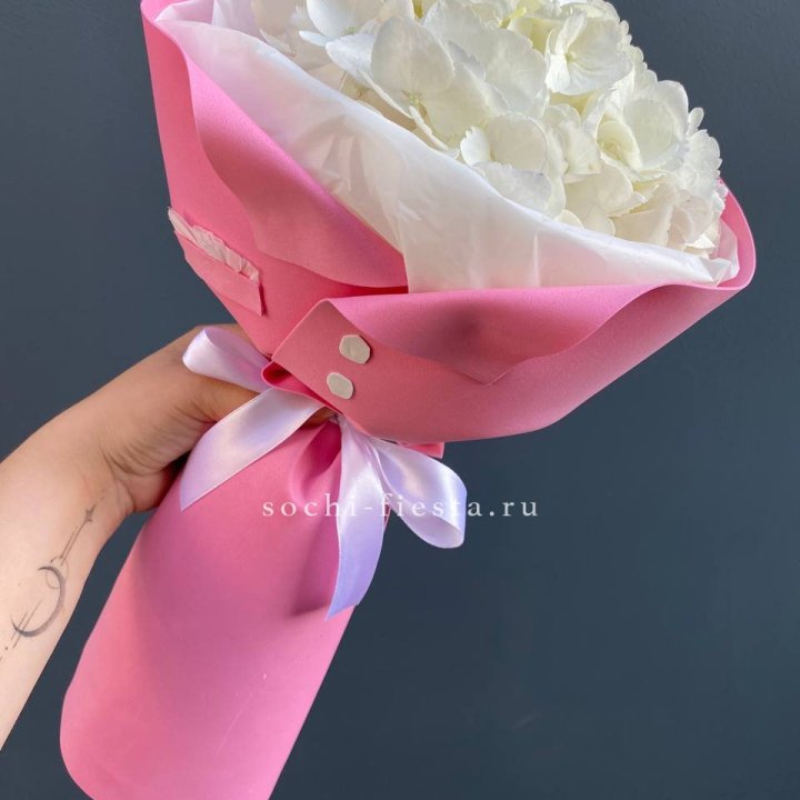 Гортензия в розовом пиджаке в Чите