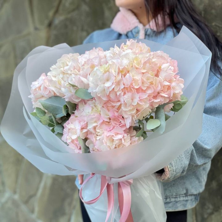 5 розовых гортензий в Чите