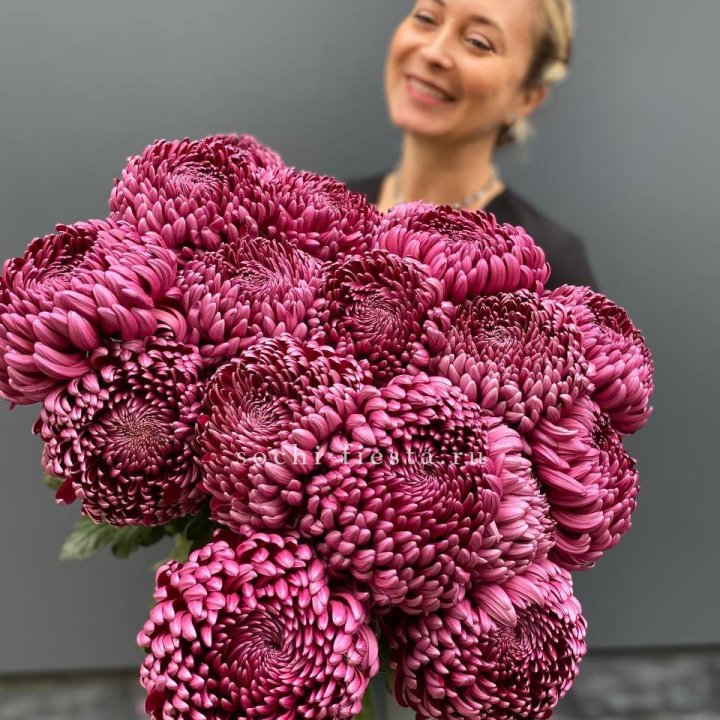 Охапка хризантем Бигуди в Чите