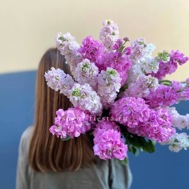 Охапка маттиолы в Чите