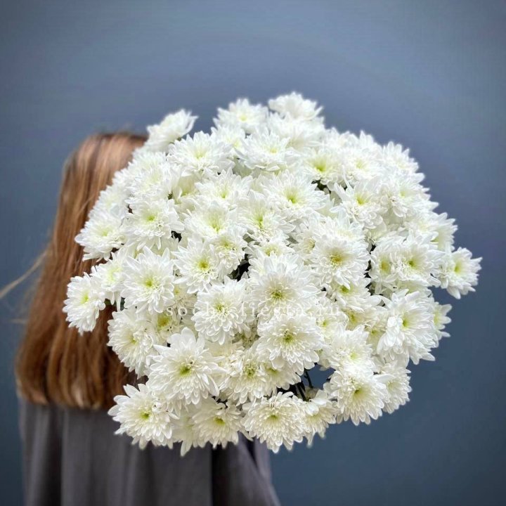 Охапка Хризантемы кустовой в Чите