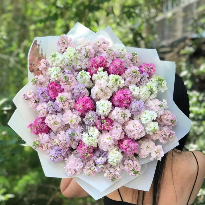 Букет ароматной маттиоллы №3 в Чите