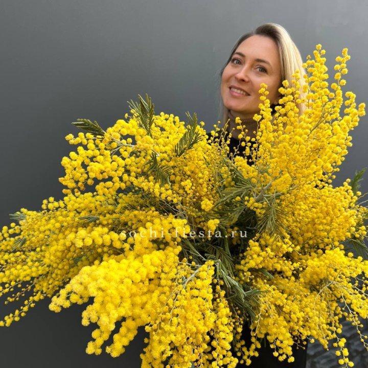 Охапка мимозы №2 в Чите