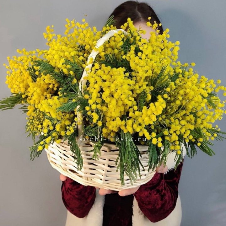Корзина ароматной мимозы в Чите