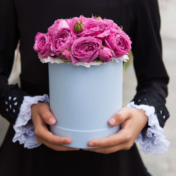 Бокс мини мисти в Чите