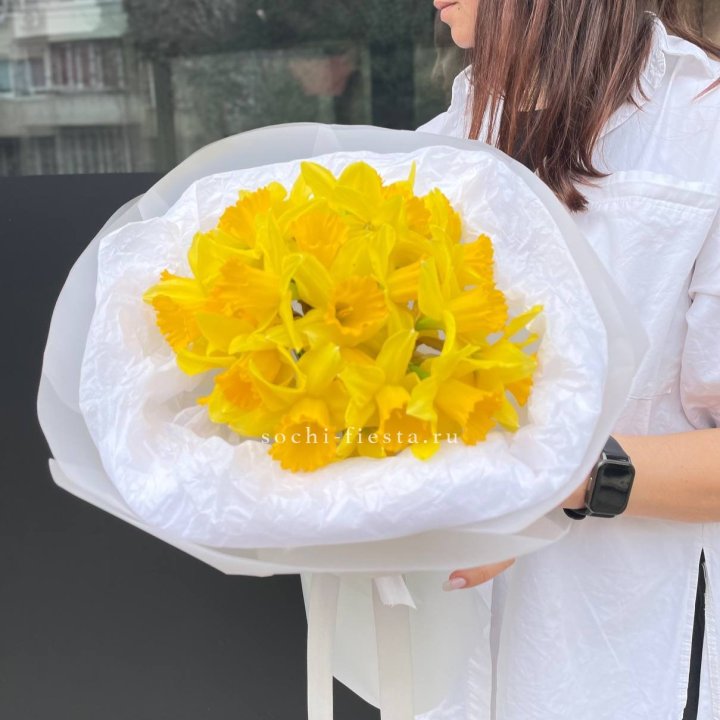 Нарциссы 25 шт в Чите