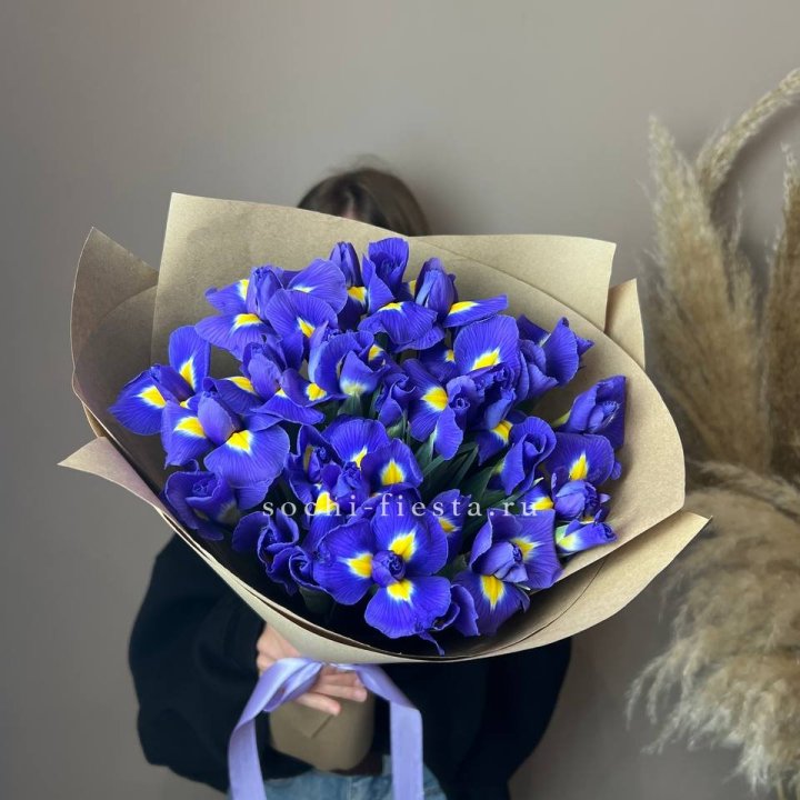 Ирисы в Чите