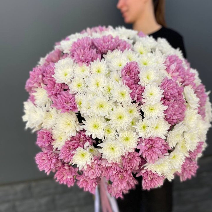  Букет 25 хризантем микс в Чите