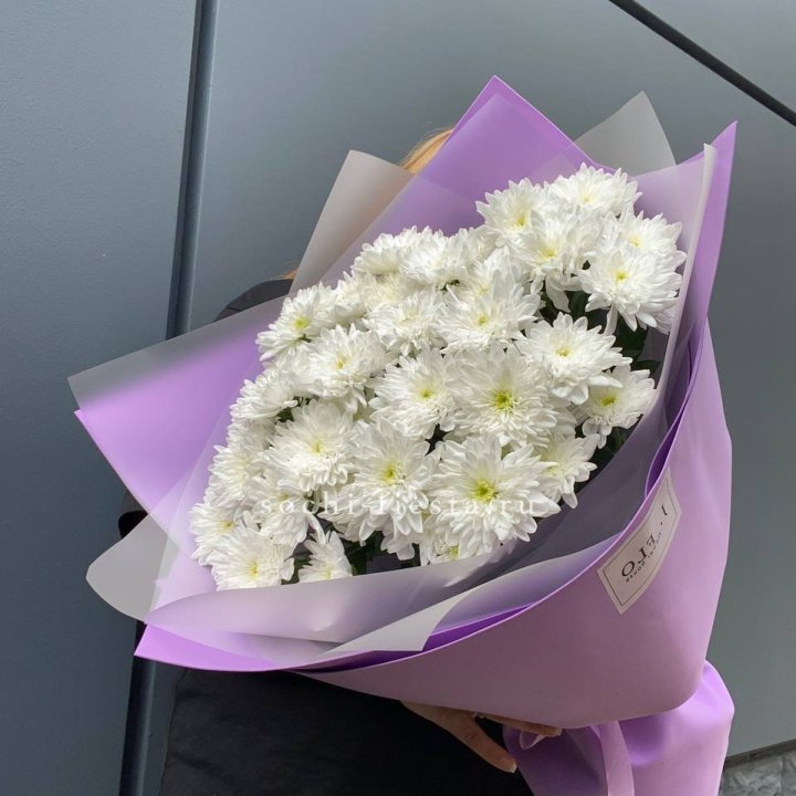  7 хризантем  в Чите