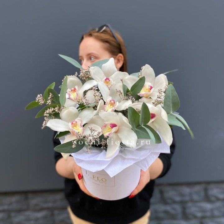 7 орхидей в боксе в Чите