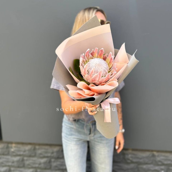 Протея мини  в Чите