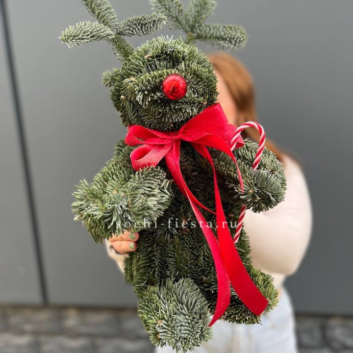 "Олень" из нобилиса в Чите