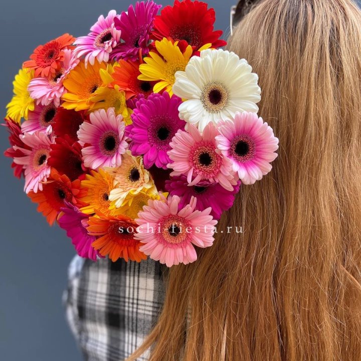 Охапка гербер  в Чите