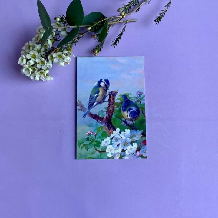 Открытка к букету "Птицы" в Чите