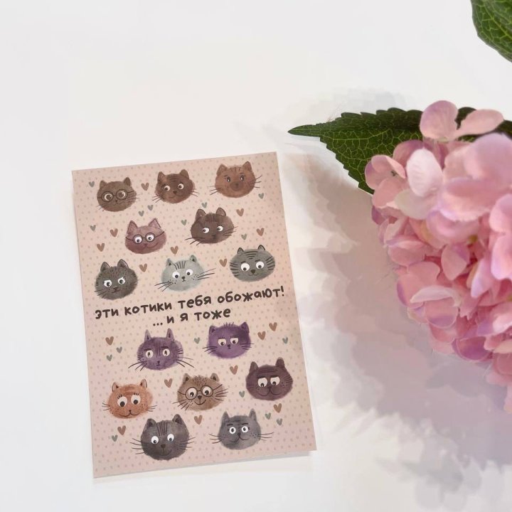 Открытка к букету "Котики" в Чите