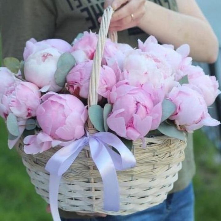 15 пионов в корзине в Чите