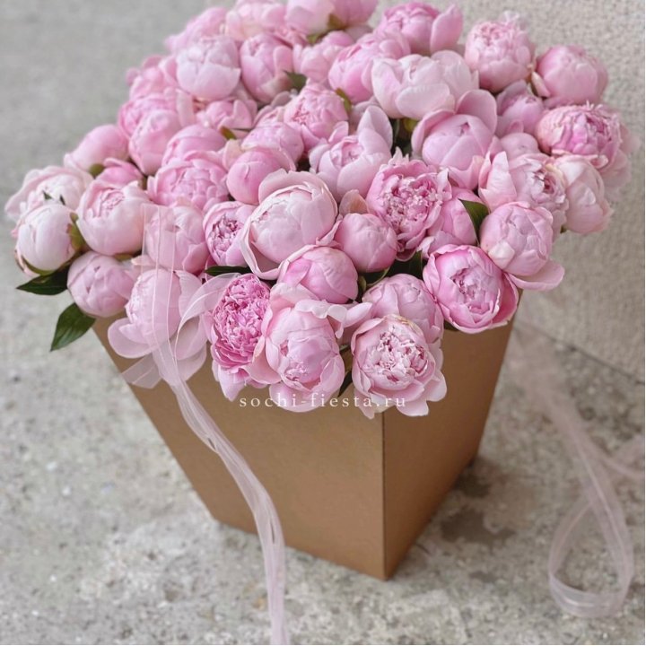 49 пионов в крафт коробке в Чите