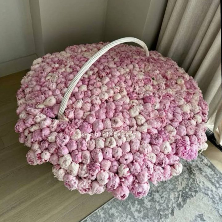 Корзина 555 пионов в Чите