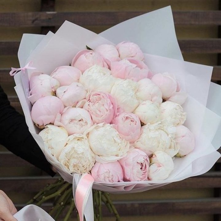 29 пионов в Чите