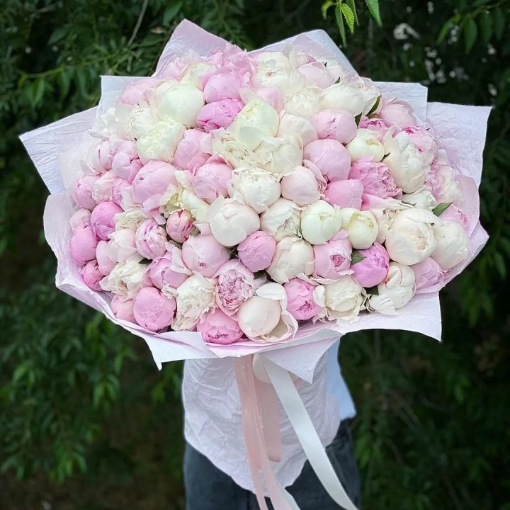 101 пион в Чите