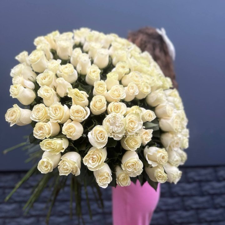 101 белая высокая импортная роза под ленту в Чите