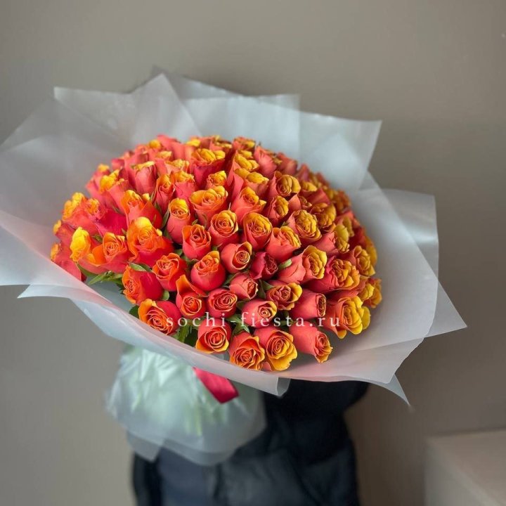 101 кенийская огненная роза  в Чите