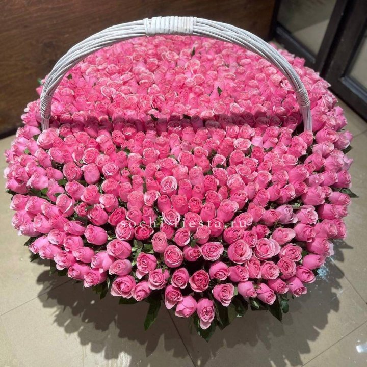 501 розовая роза в Чите